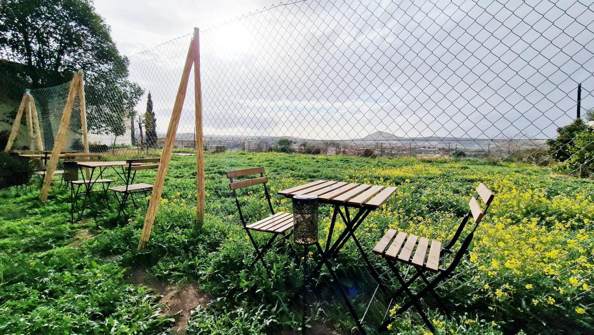 Apartamento Aa Guest - Mulhacen Del Jardin Sierra Nevada Alhendín Exterior foto